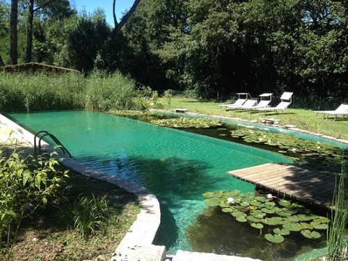 Biopiscina o laghetto balneabile Biopiscina o laghetto balneabile