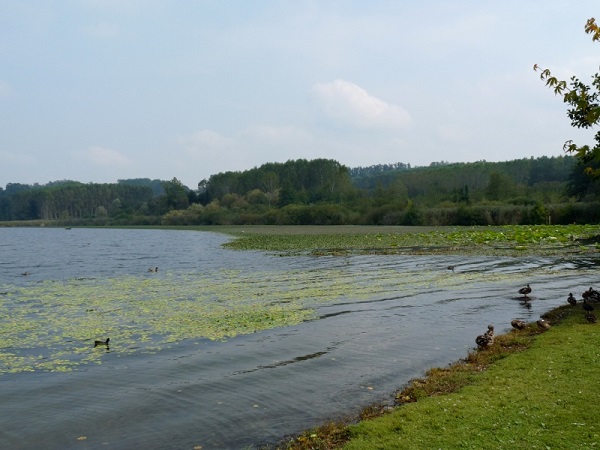 Lago di Candia Lago di Candia
