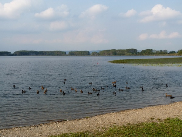 Lago di Candia Lago di Candia