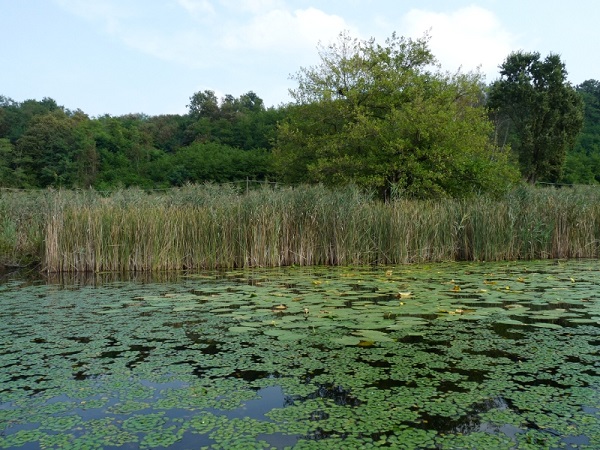 Lago di Candia Lago di Candia