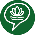 Consulenza Laghetto Consulenza Laghetto