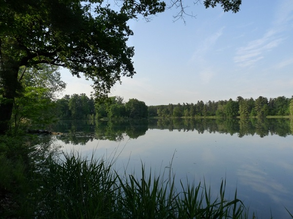 Parco La Mandria Parco La Mandria