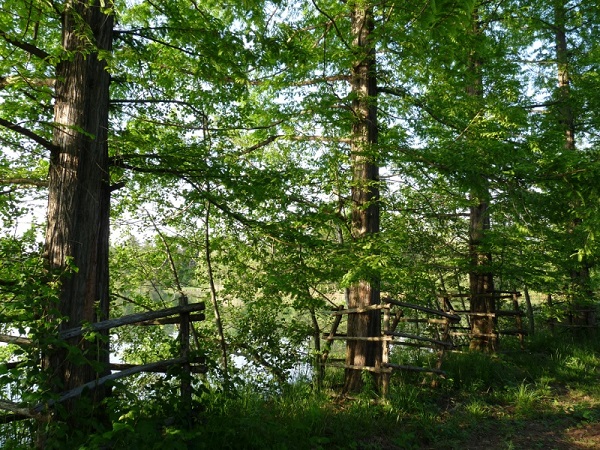 Parco La Mandria Parco La Mandria