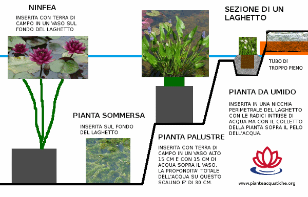 Schema per realizzare un laghetto Schema per realizzare un laghetto