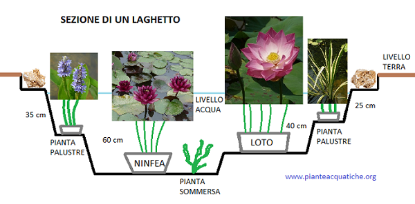 Schema per realizzare un laghetto Schema per realizzare un laghetto