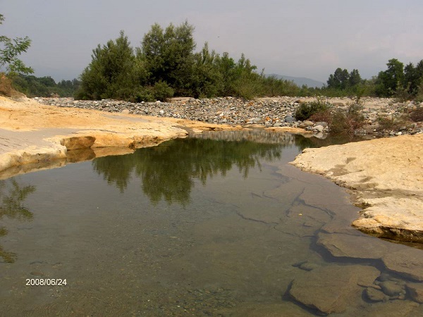 Zone umide nei pressi della Stura di Lanzo Zone umide nei pressi della Stura di Lanzo