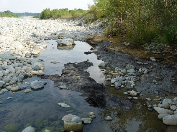 Foresta Fossile Foresta Fossile