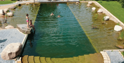 Telo per biopiscine verde oliva Telo per biopiscine verde oliva