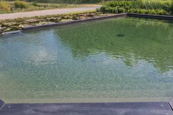 62m² Tessuto Non Tessuto Per Laghetto 500g Laghetto Tessuto Non - Foto 10