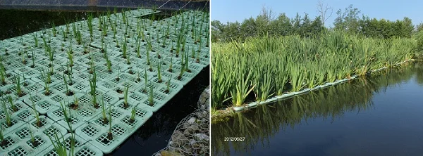 Impianto di fitodepurazione flottante con moduli tech-ia