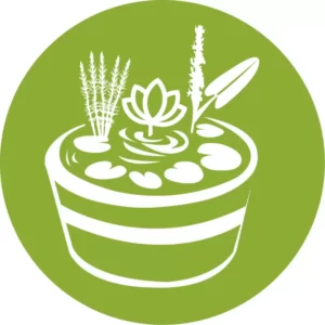 Set Mini Pond