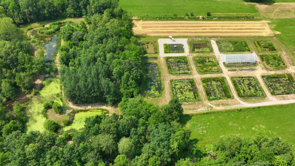 vivaio piante acquatiche drone