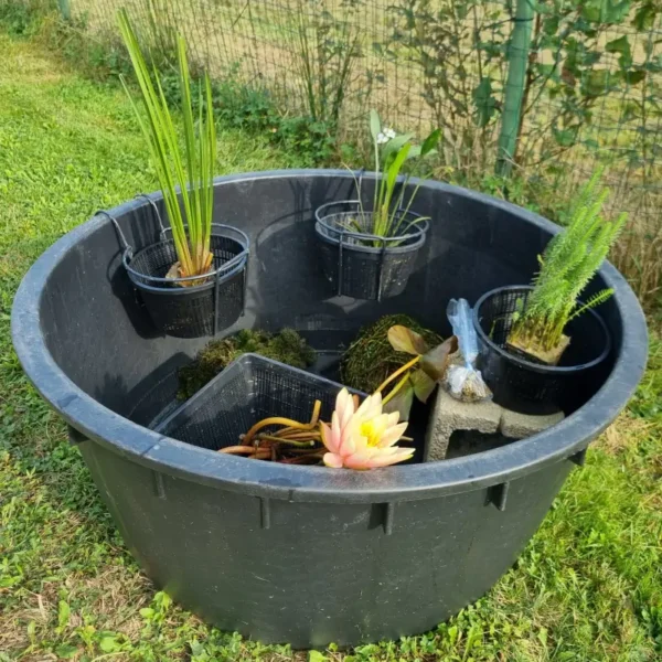 set mini pond high