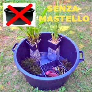 set bonsai pond senza mastello