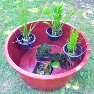 set mini pond high vinaccia